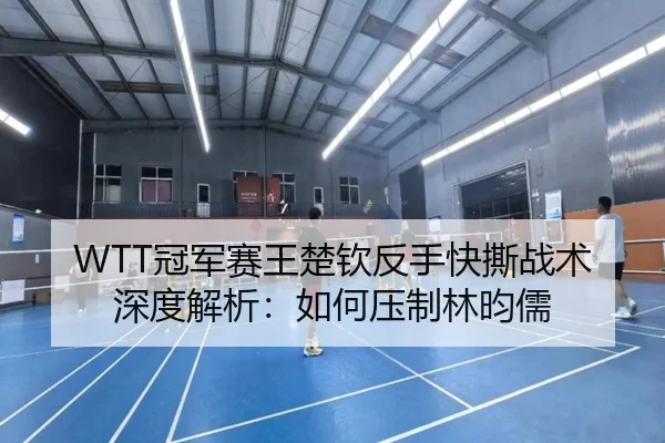 WTT冠军赛王楚钦反手快撕战术深度解析：如何压制林昀儒