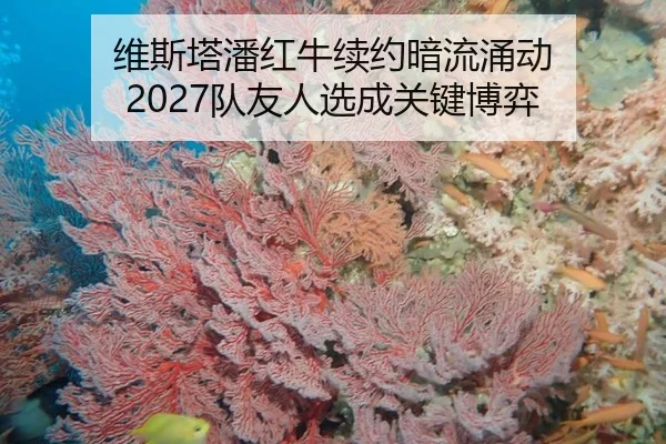 wei-si-ta-pan-hong-niu-xu-yue-an-liu-yong-dong-dui-you-ren-xuan-cheng-guan-jian-bo-yi-3-264.jpg