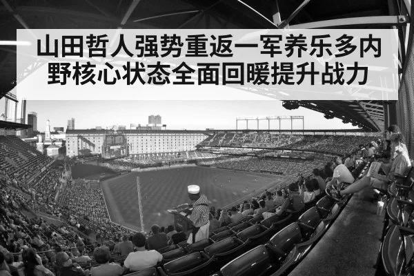 baseball stadium crowd